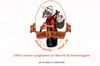 Offres section congélateur en Marché de Gomla Egypte de 14 à 21 août