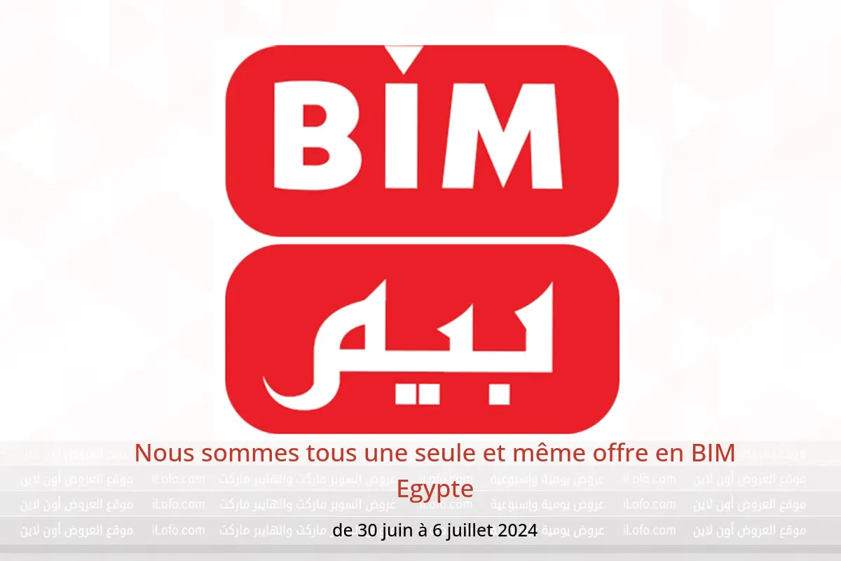 Nous sommes tous une seule et même offre en BIM Egypte de 30 juin à 6 juillet 2024
