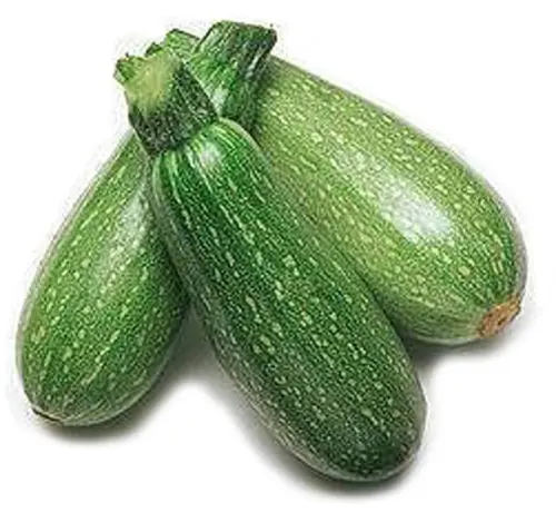 zucchini - per kilo