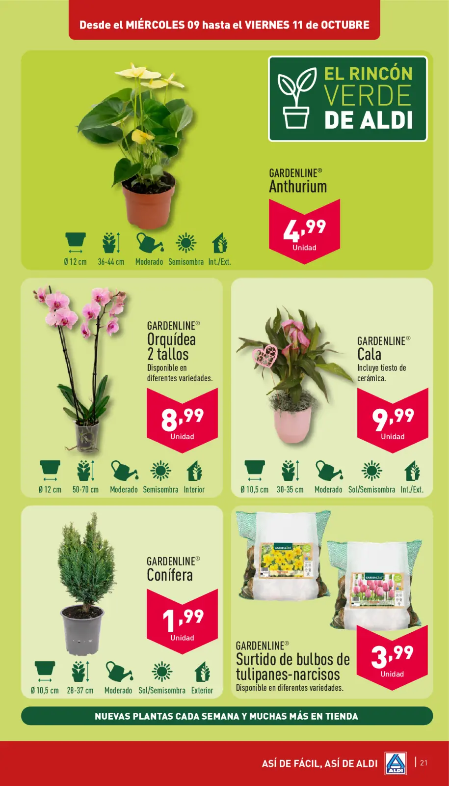 صفحة 61 ضمن الطريقة السهلة للصفقات في ألدي إسبانيا