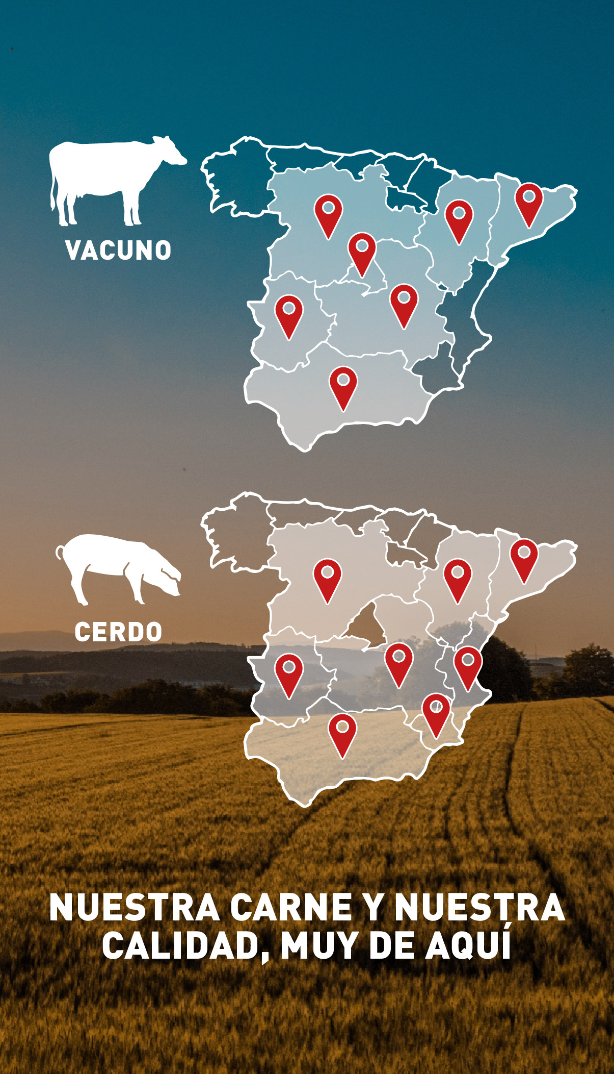 Ofertas de ALDI supermercado España de 9 a 15 octubre 2024 La manera fácil de operar