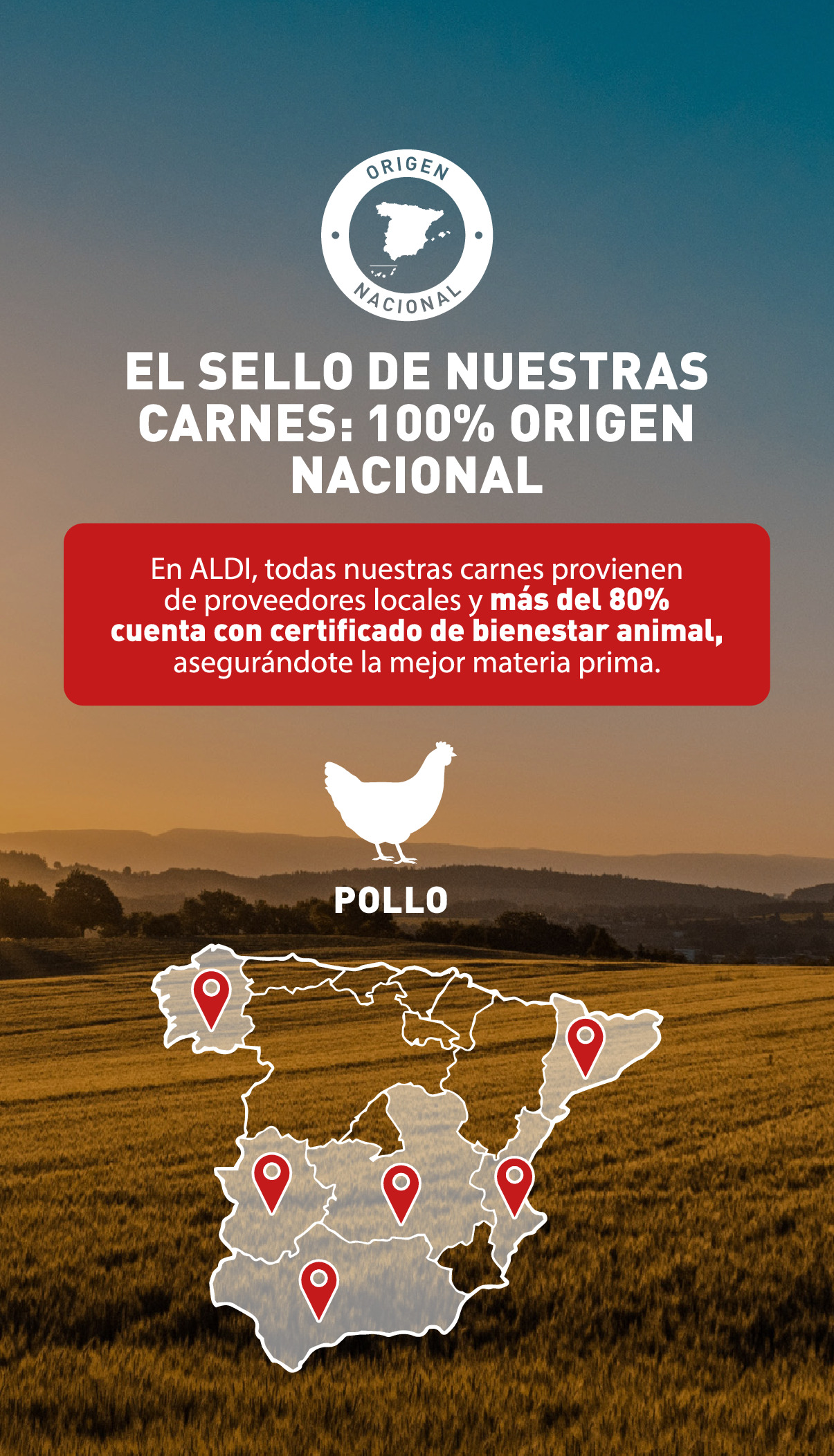 Ofertas de ALDI supermercado España de 9 a 15 octubre 2024 La manera fácil de operar