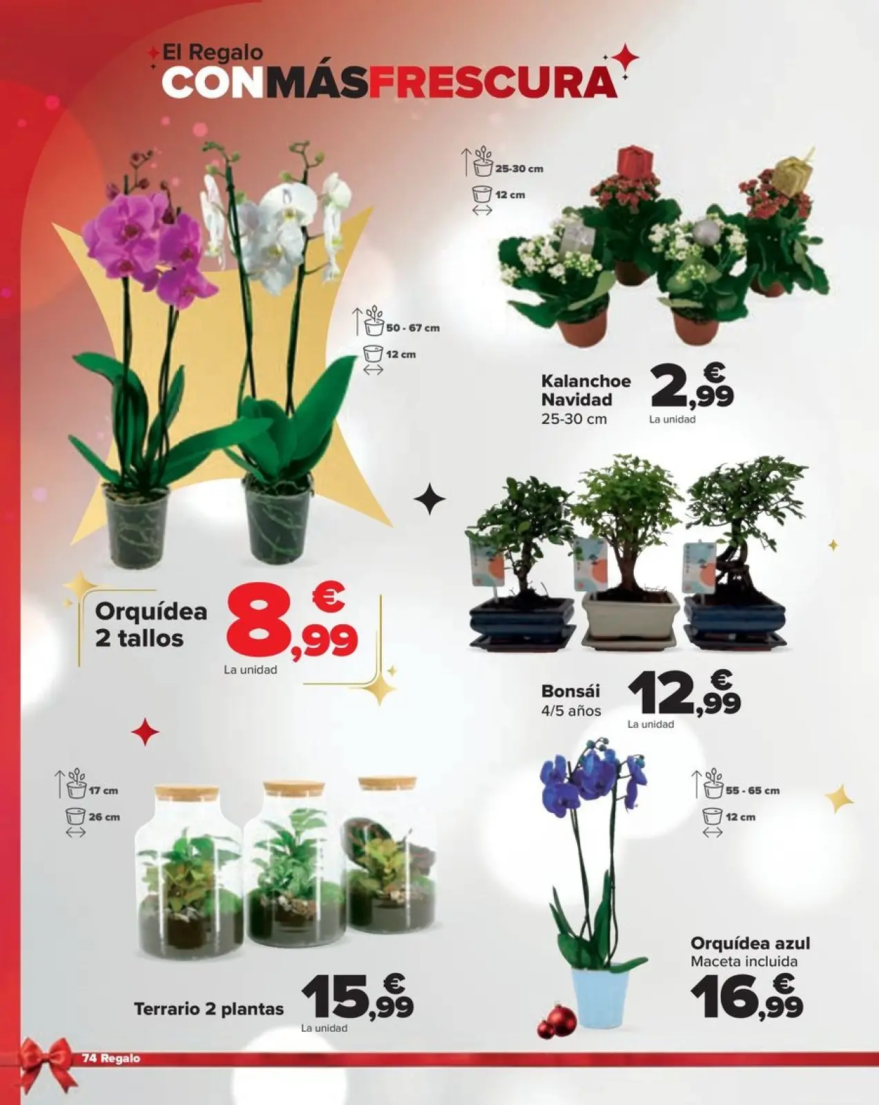Página 74 en REGALO en Carrefour España