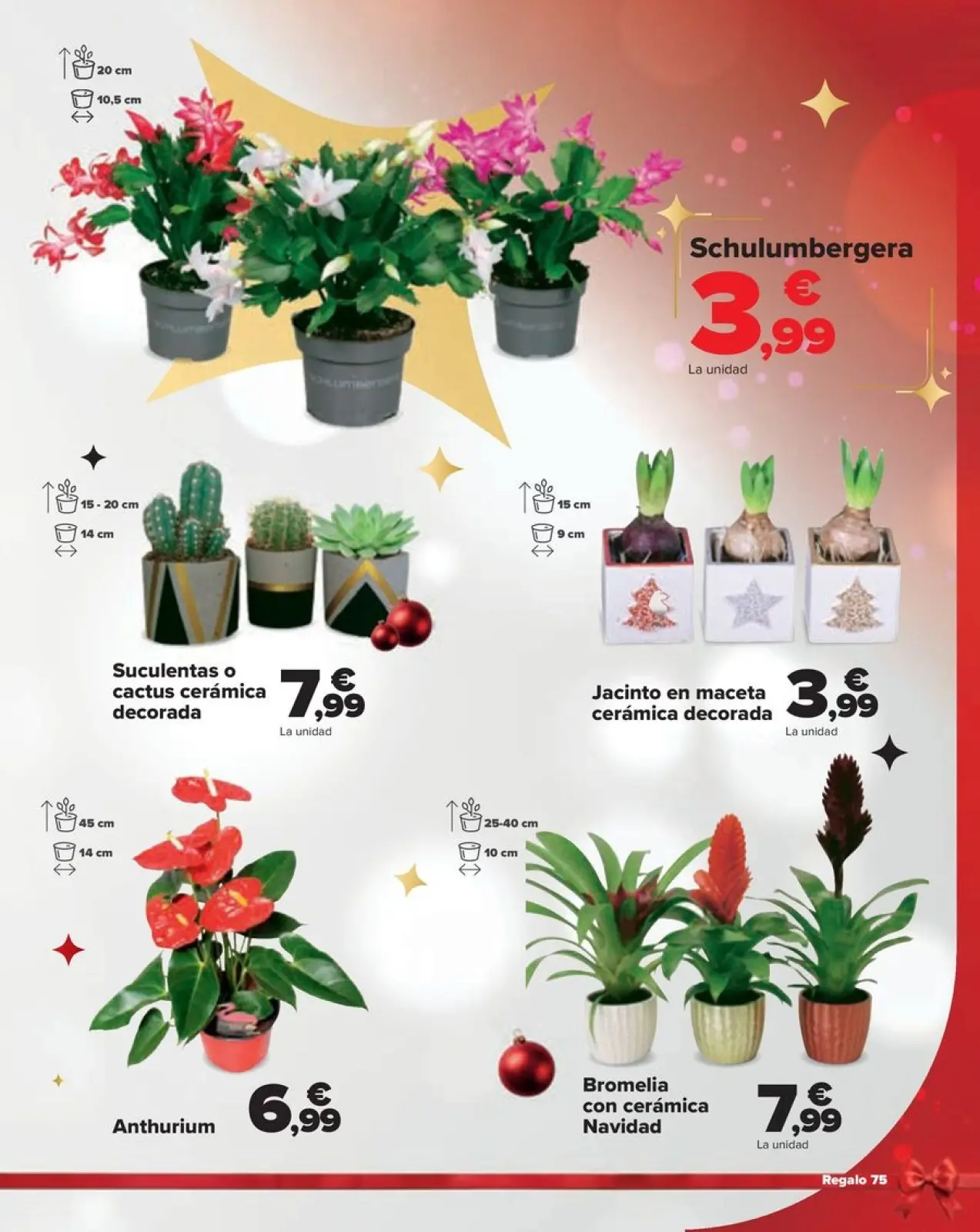 Página 75 en REGALO en Carrefour España