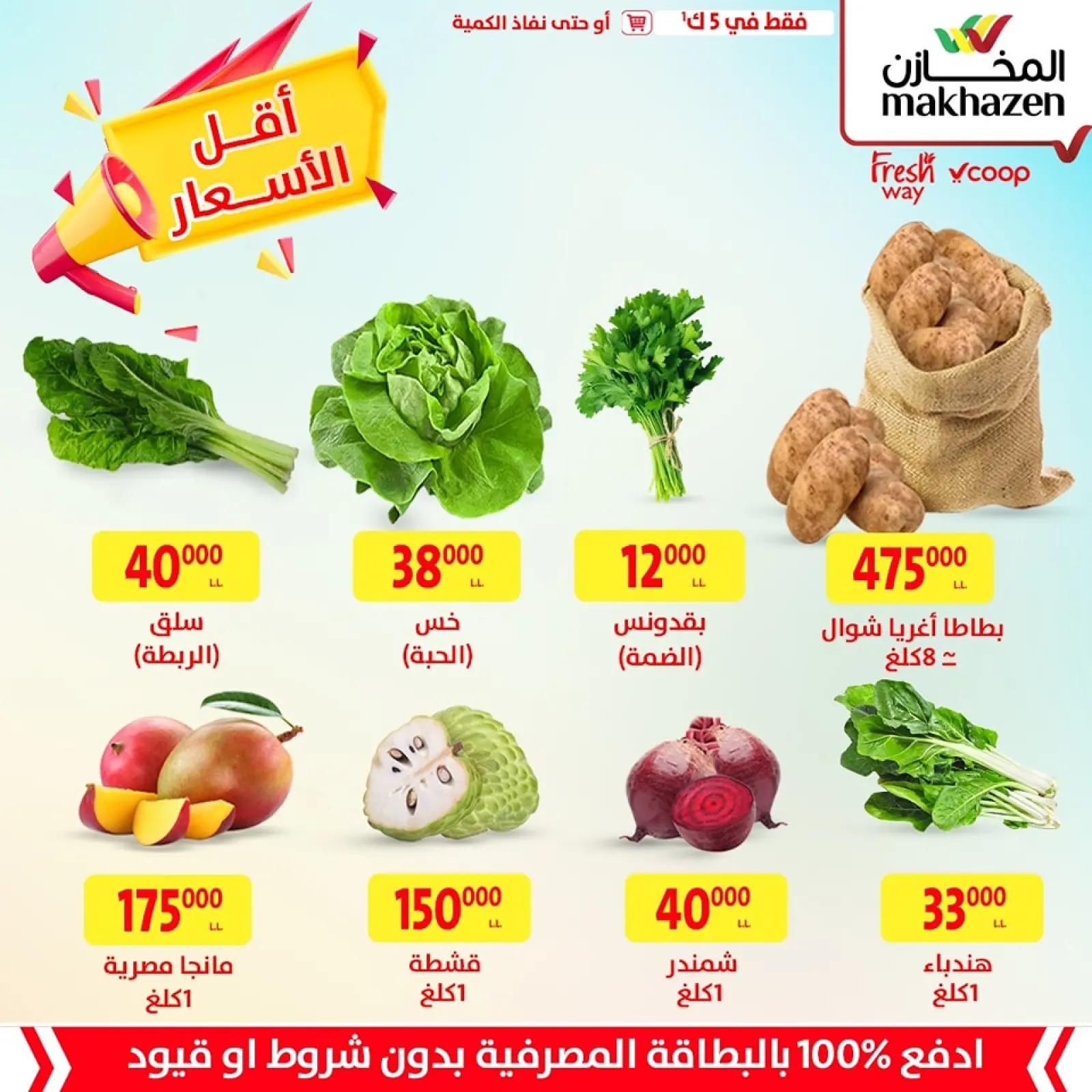 Page 1 in Low Price at Al Makhazen Lebanon