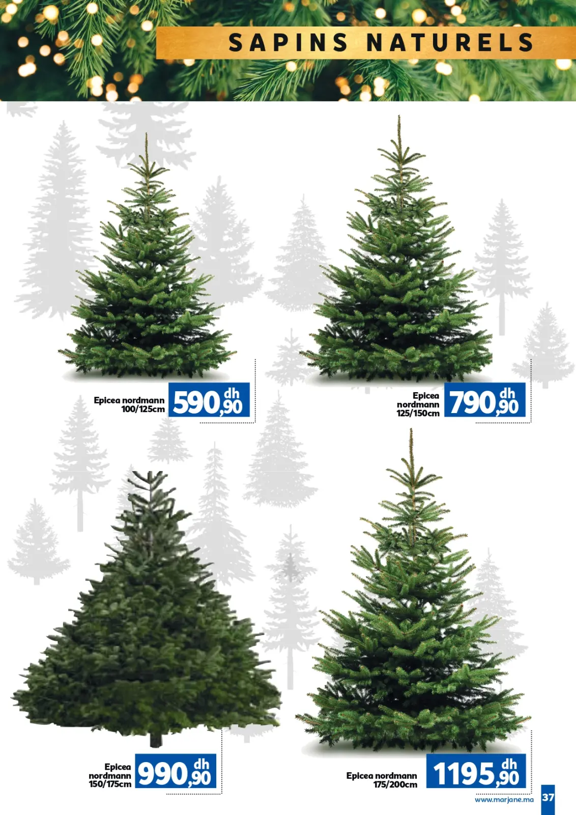 صفحة 37 ضمن عروض العام الجديد في مرجان المغرب