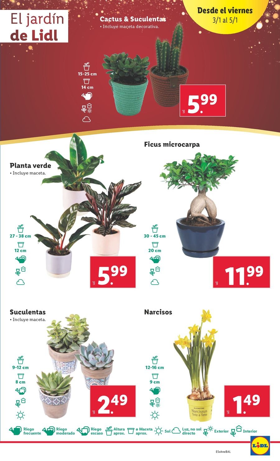 Ofertas de Lidl España de 30 diciembre a 5 enero 2025 ofertas semanales