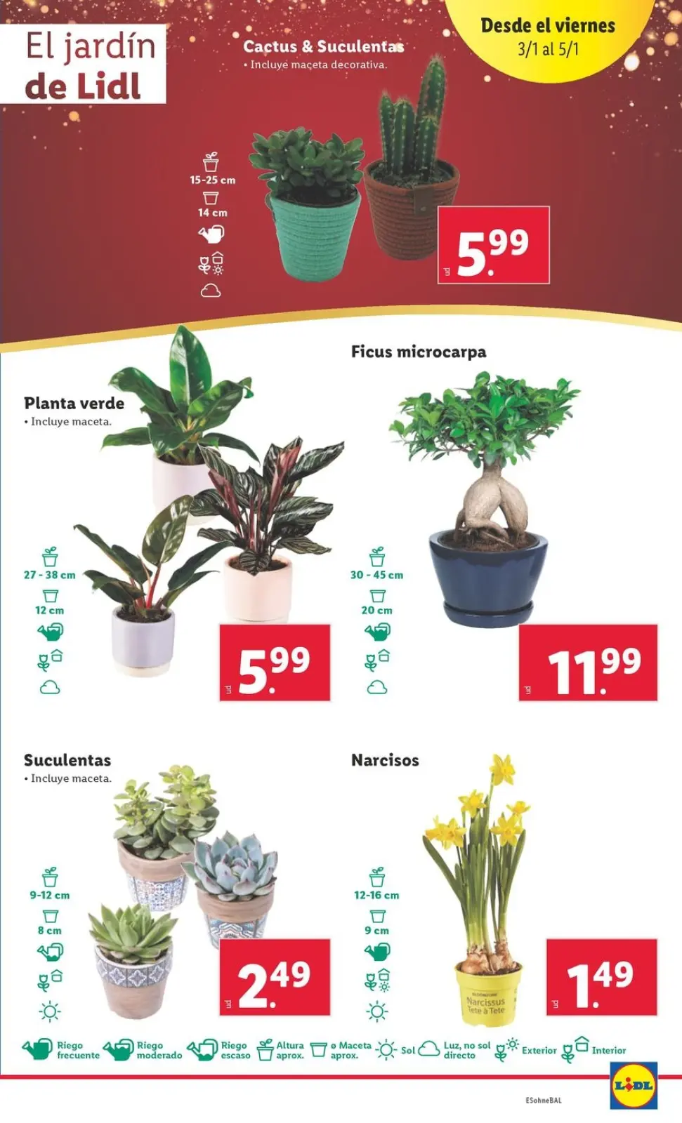 Page 19 dans Offres hebdomadaires chez Lidl Espagne