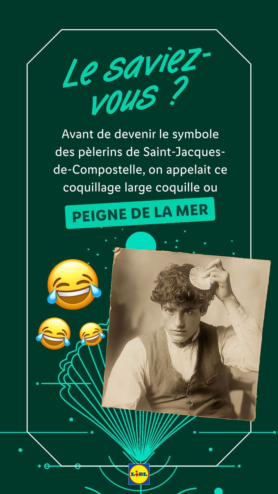 Offres Lidl France de 21 décembre à 3 janvier 2025 Offres de Noël