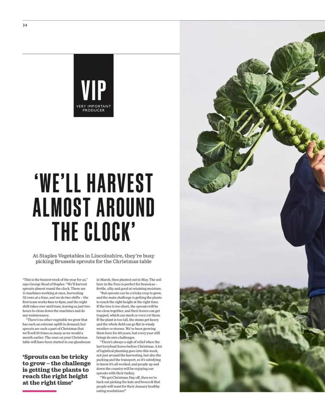 Página 34 en Es hora de celebrar las ofertas en Supermercado Waitrose Reino Unido