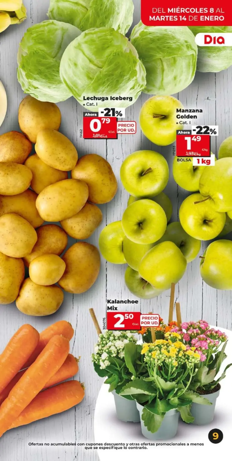 Page 9 dans De grosses économies chez Dia Espagne