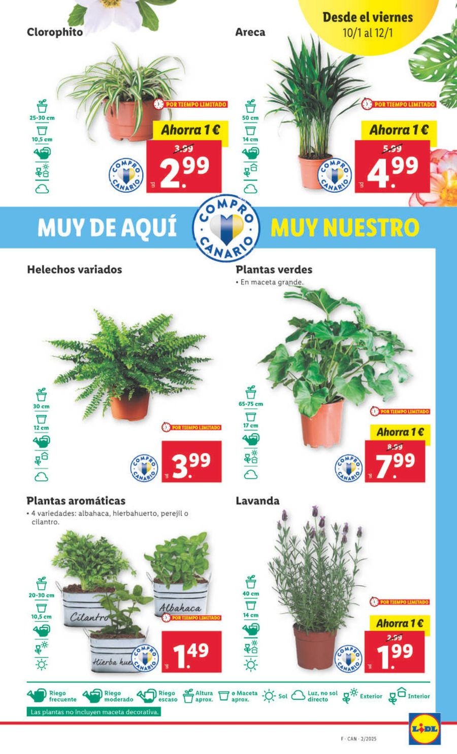 Ofertas de Lidl España de 7 a 12 enero 2025 Ofertas XXL