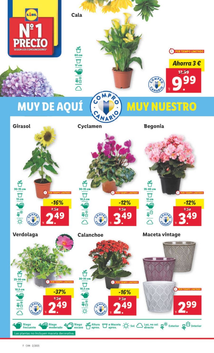 Ofertas de Lidl España de 7 a 12 enero 2025 Ofertas XXL