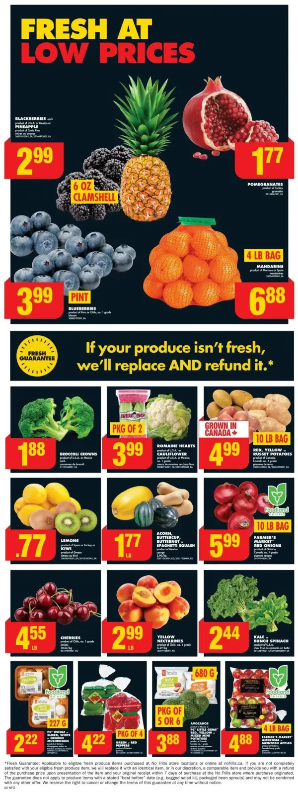 No Frills Canada Offers from 9 to 15 January 2025 DEALS FOR DAYS EVENT - Page 10