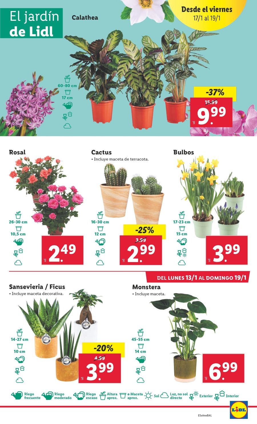 Ofertas de Lidl España de 13 a 19 enero 2025 ofertas semanales