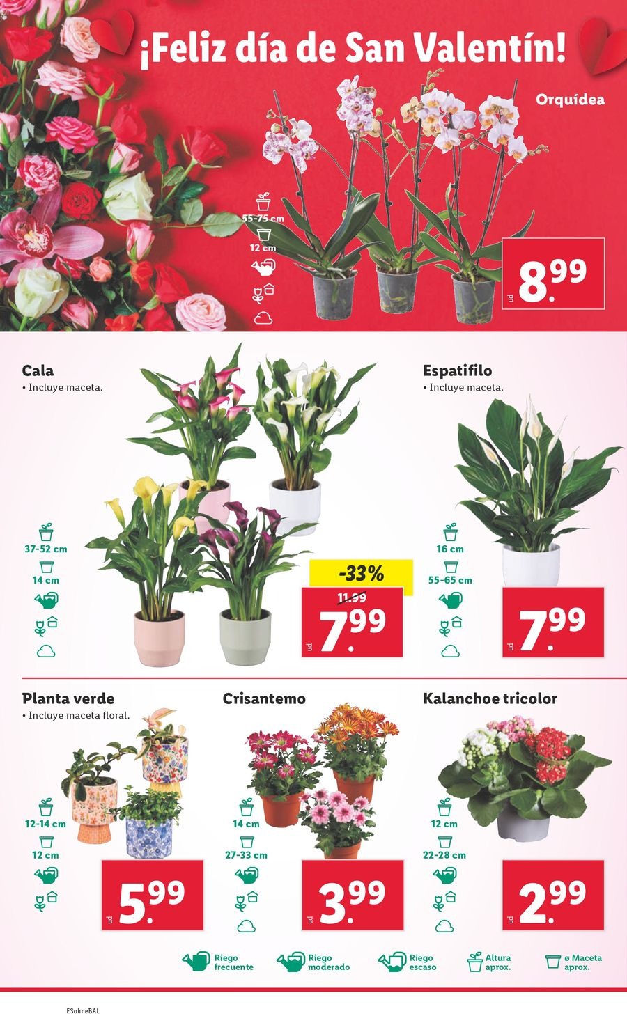 Ofertas de Lidl España de 3 a 9 febrero 2025 FOOD Ofertas