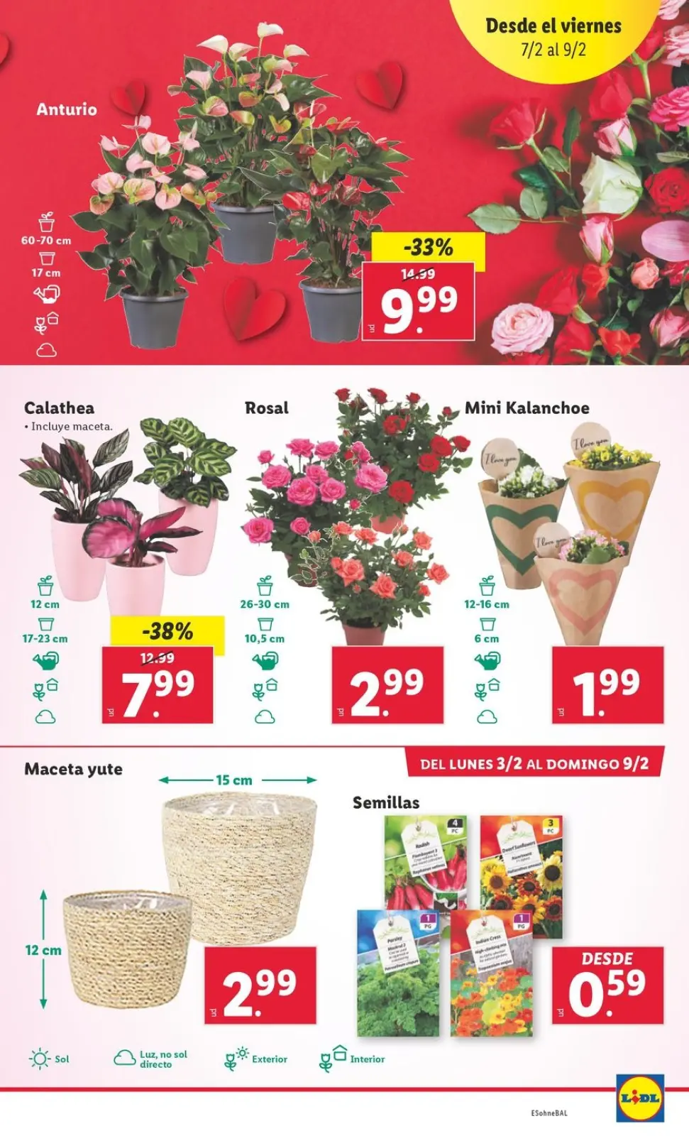 Page 29 dans Offres alimentaires chez Lidl Espagne