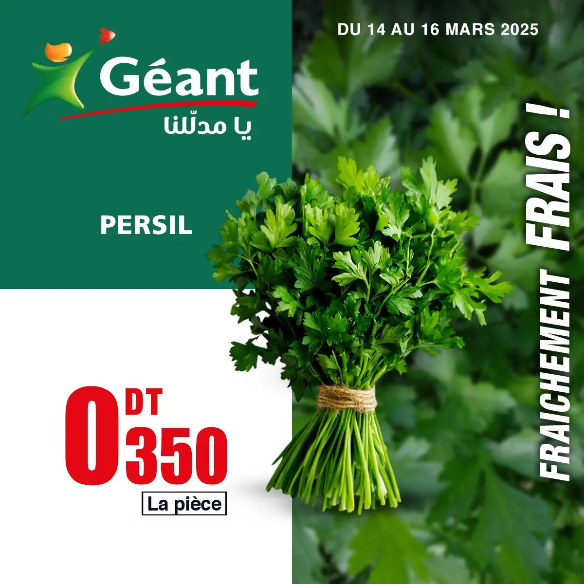 Geant Tunisia Offers from 14 to 16 March 2025 New Offers