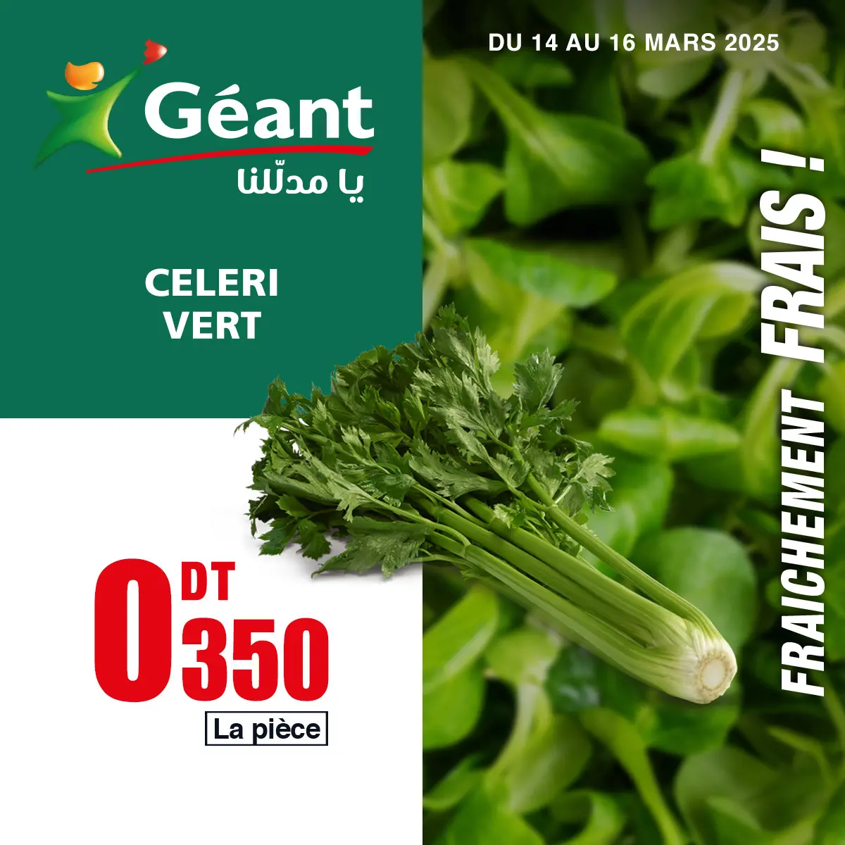 Geant Tunisia Offers from 14 to 16 March 2025 New Offers
