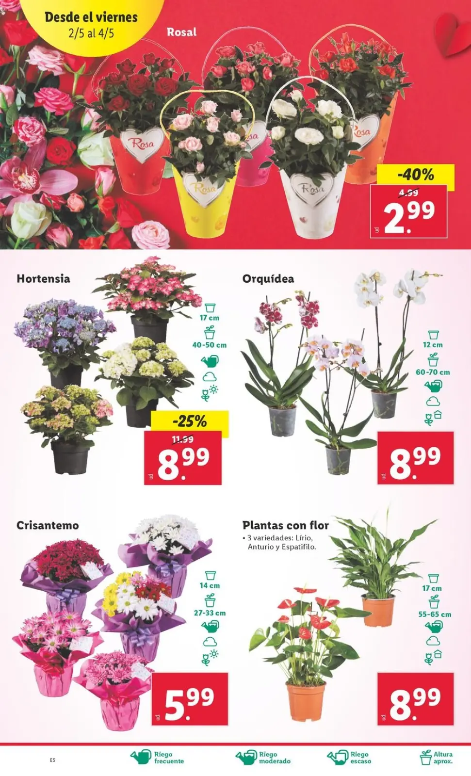 Page 45 dans Offres hebdomadaires chez Lidl Espagne