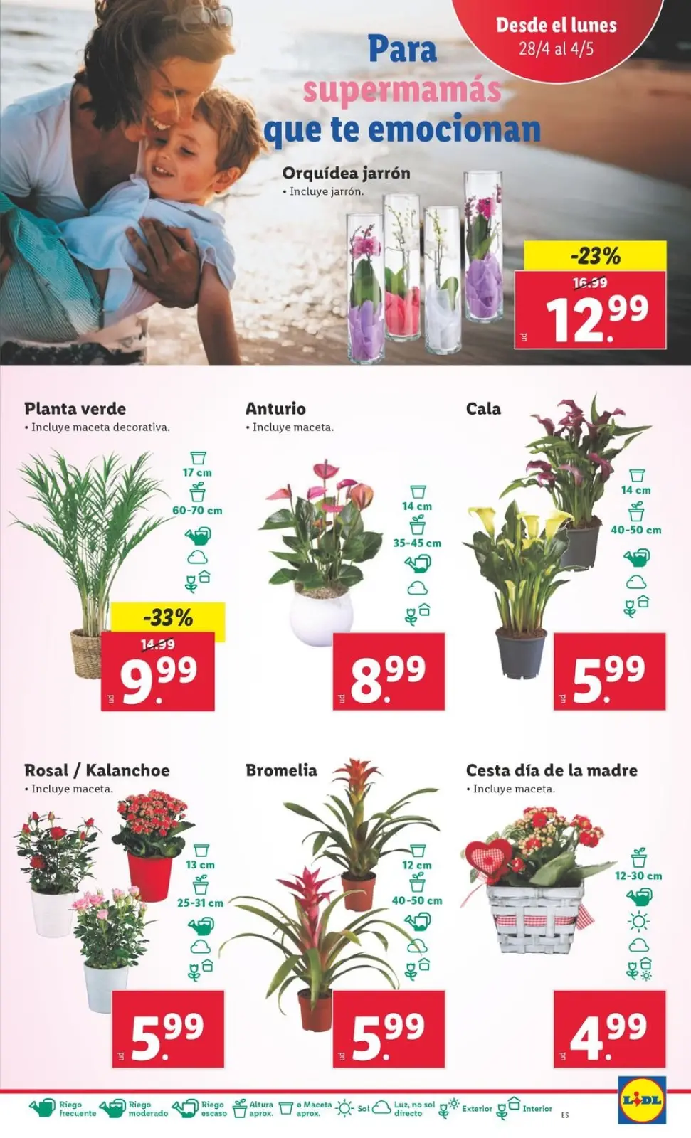 Page 44 dans Offres hebdomadaires chez Lidl Espagne