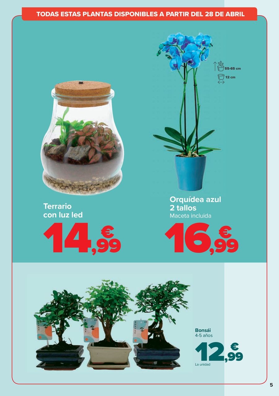 Carrefour Spain Offers from 25 April to 4 May 2025 Mother's Day offers