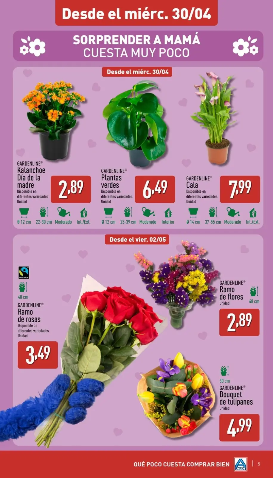 صفحة 5 ضمن توفير كبير جدا في ألدي إسبانيا