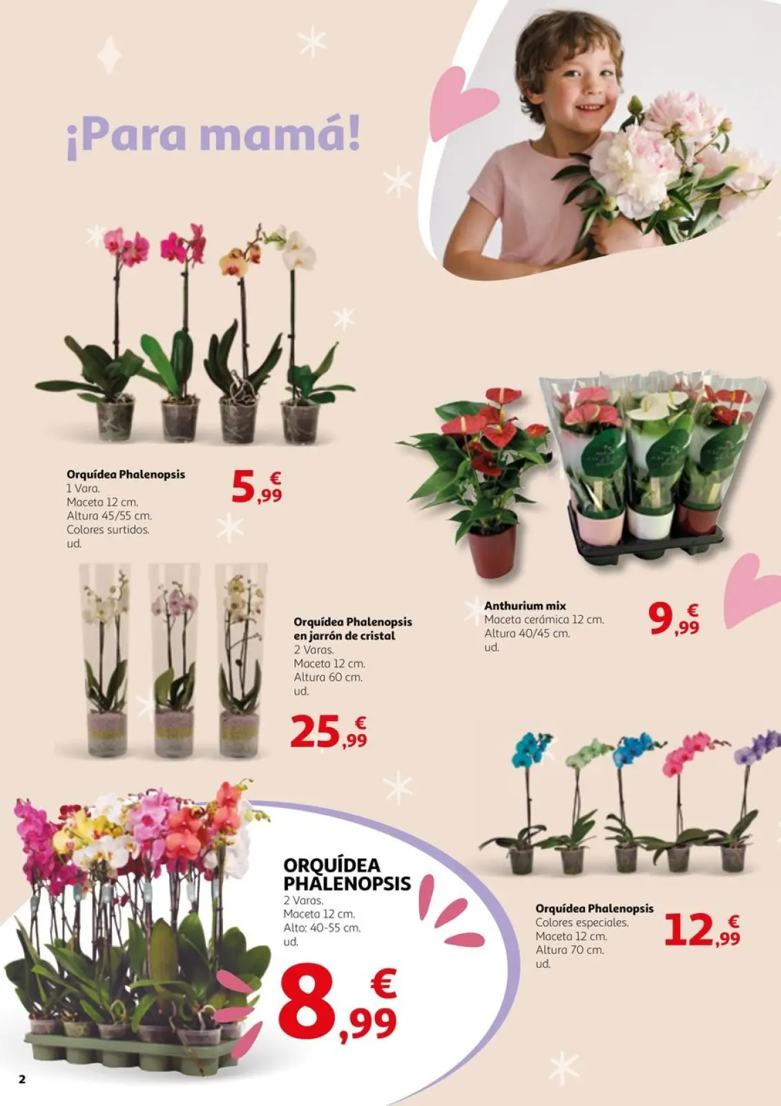 Página 2 en Ofertas Mamá, eres nuestro mejor regalo en Alcampo España