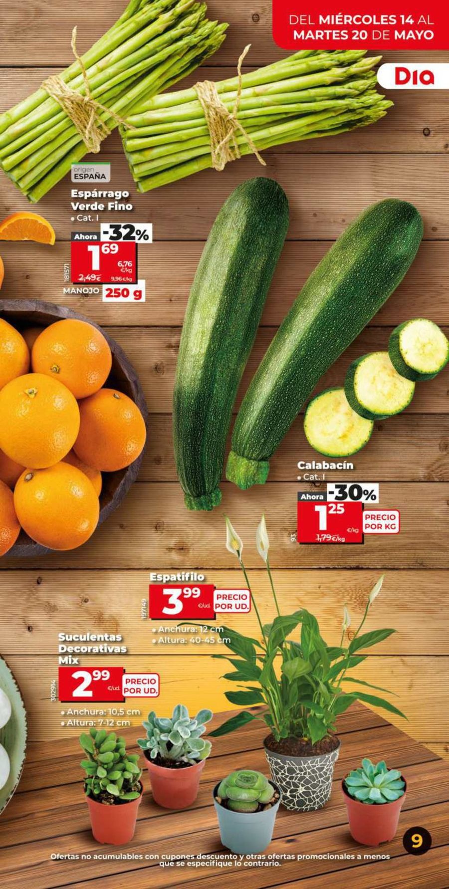 Ofertas de Dia España de 14 a 20 mayo 2025 Ahorro a lo grande Ofertas