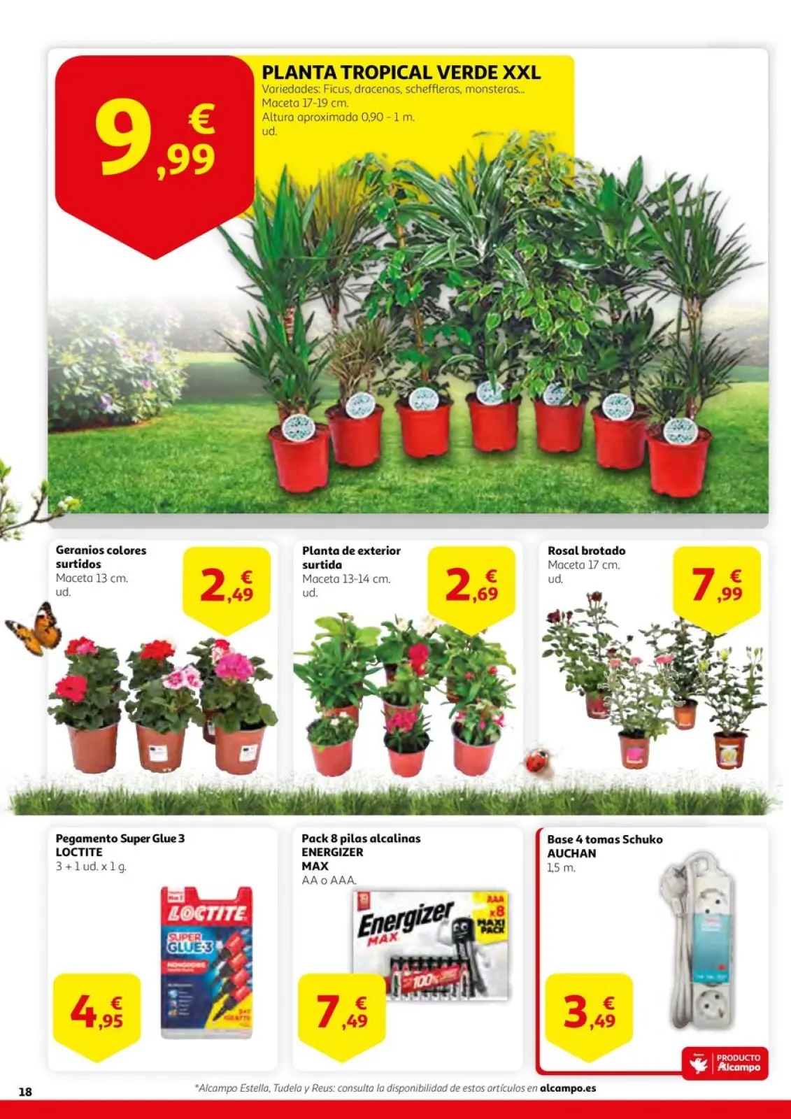 صفحة 18 ضمن اكسب في المدخرات في الكامبو إسبانيا