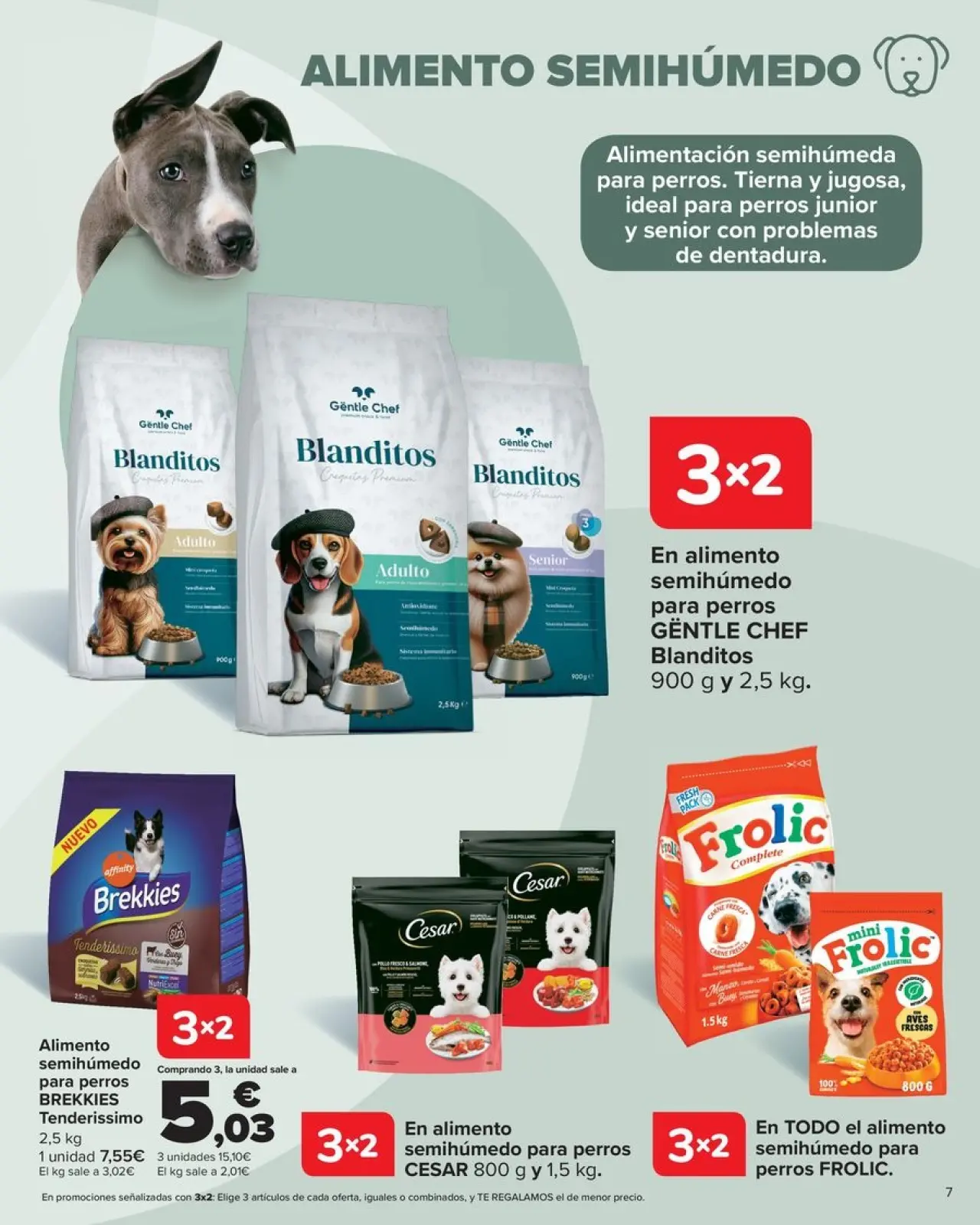 صفحة 5 ضمن كتيب عروض الحيوانات الأليفة في كارفور إسبانيا