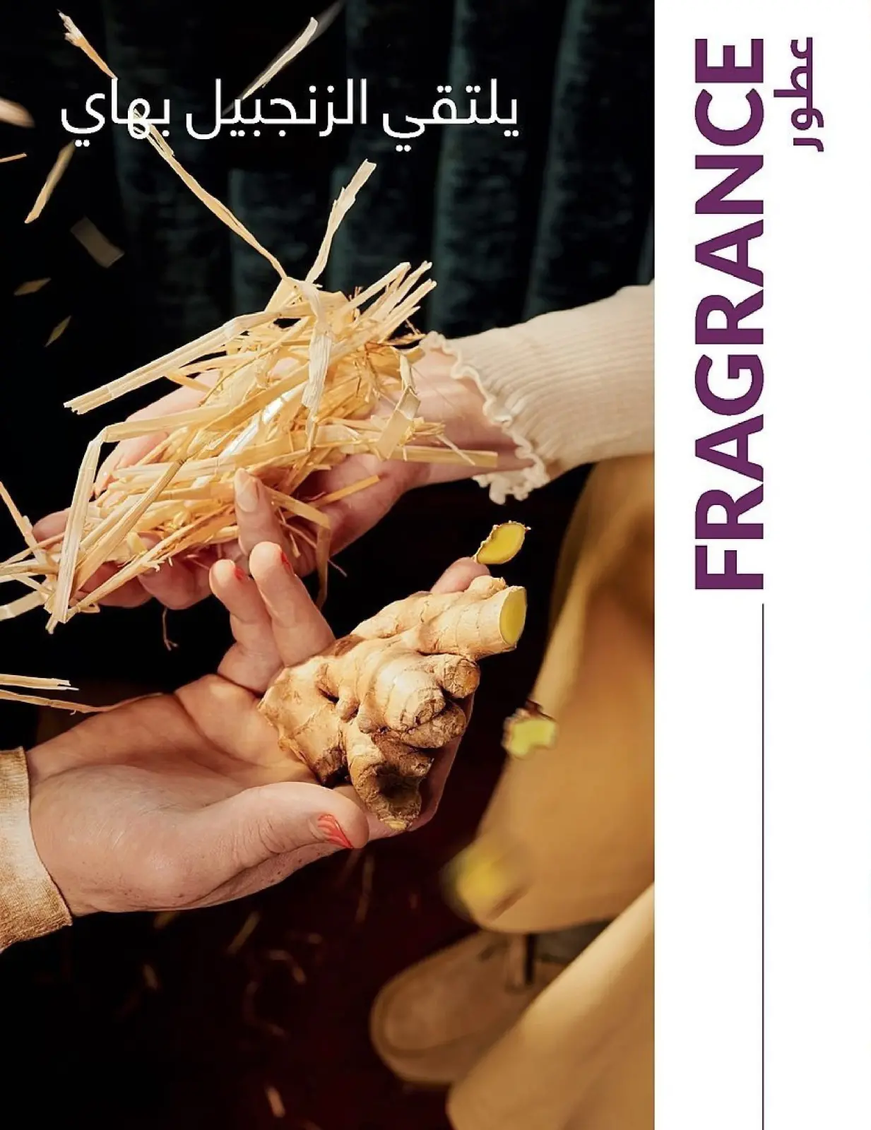 Page 26 in November Offers Catalog at Avon Egypt