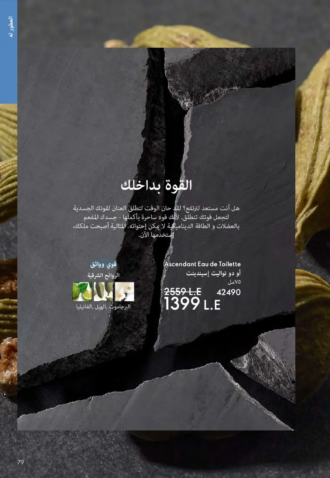 عروض اوريفليم مصر من 1 حتى 30 نوفمبر 2025 كتالوج شهر نوفمبر - صفحة 78