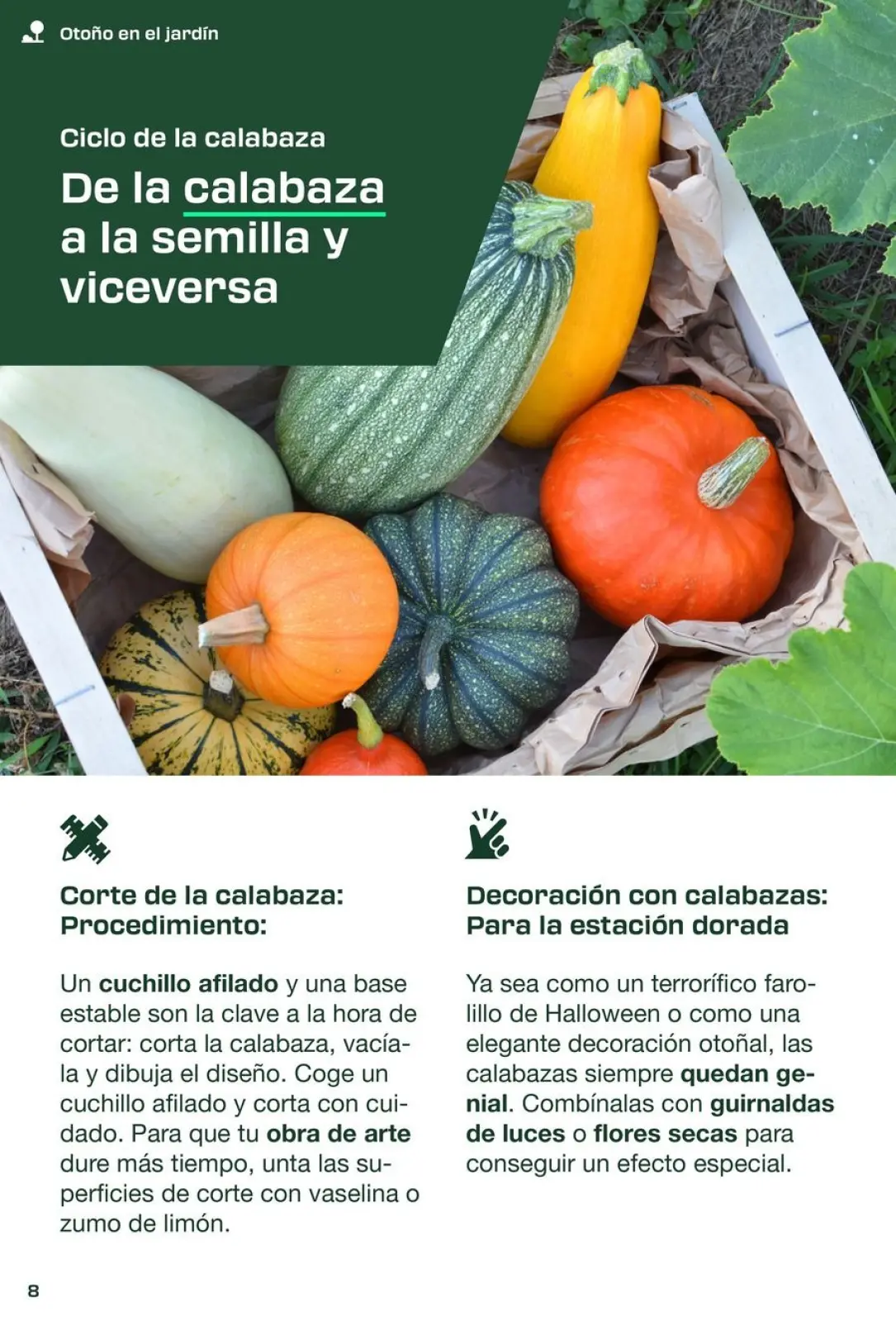 Página 8 en ofertas de herramientas de hardware en Lidl España