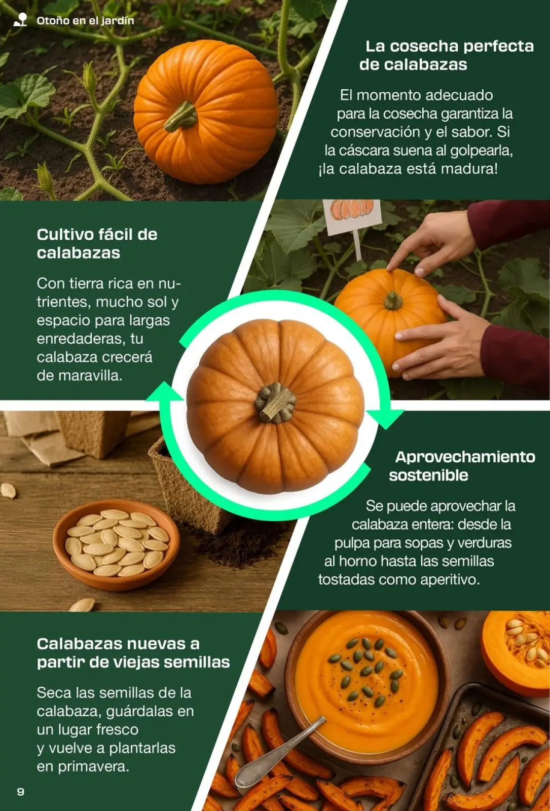 Página 9 en ofertas de herramientas de hardware en Lidl España