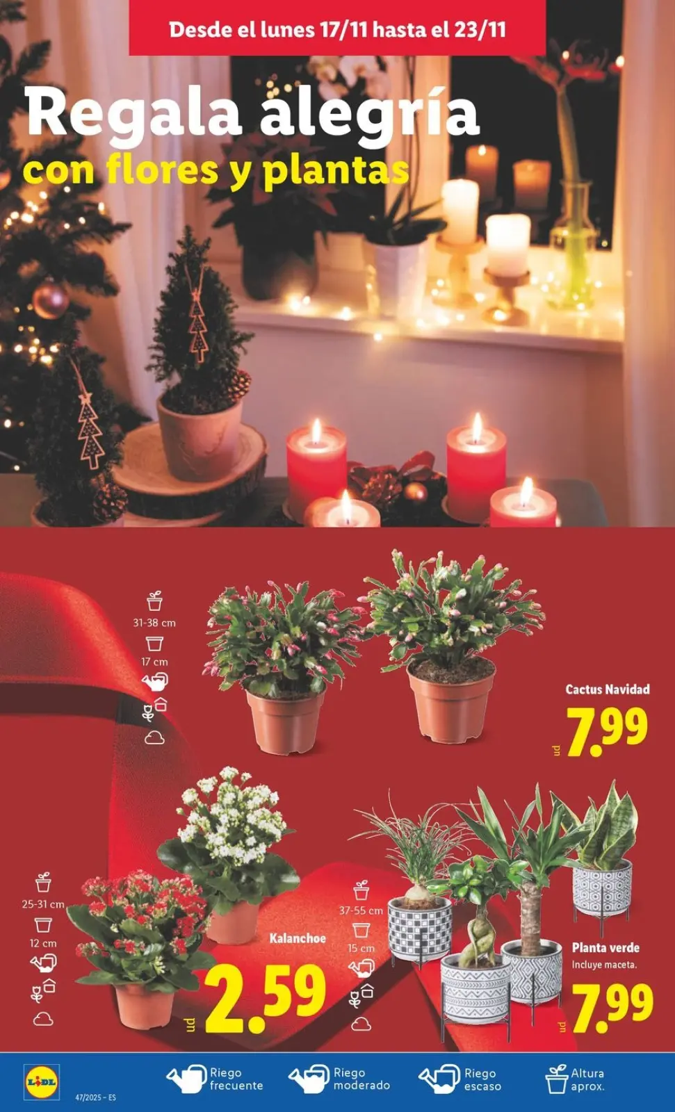 Página 50 en ofertas semanales en Lidl España