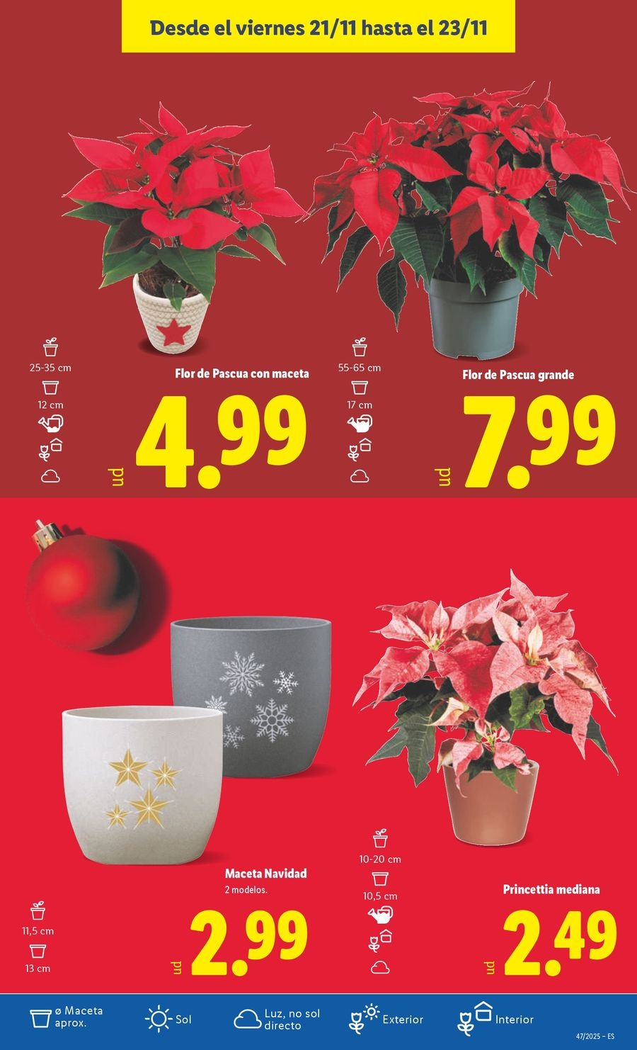 Lidl Spain Offers from 17 to 23 November 2025 Weekly offers