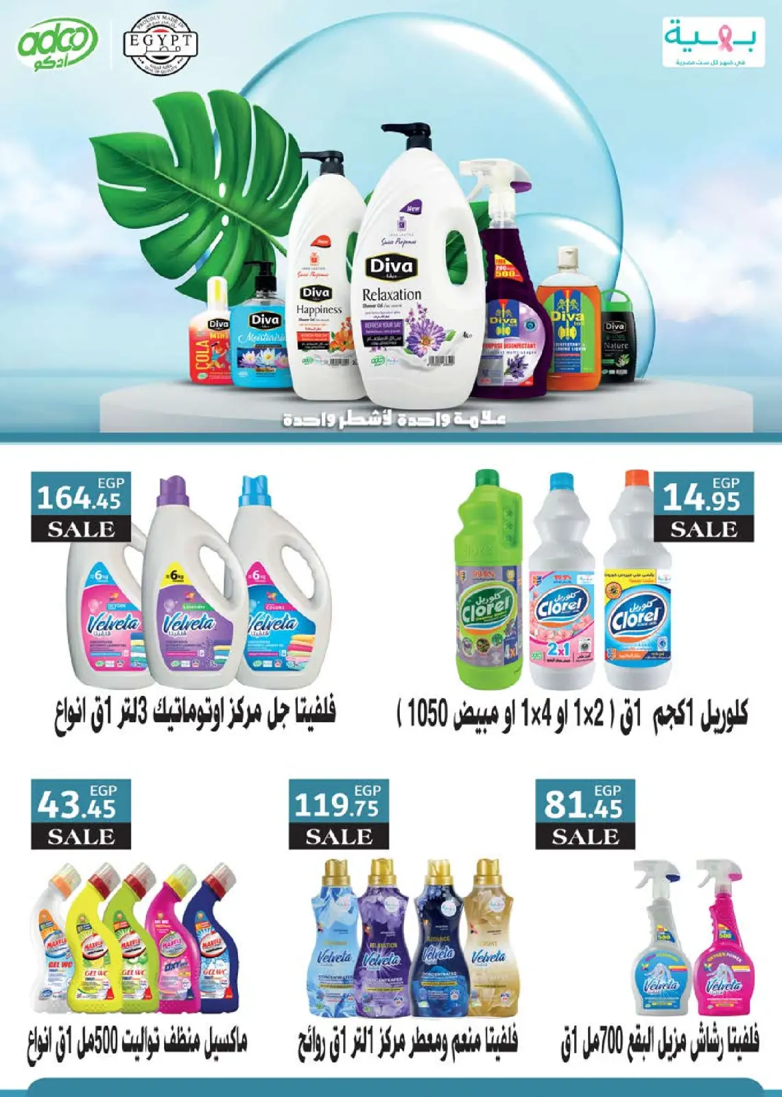 Página 67 en Ofertas de invierno en Mercado Seoudi Egipto