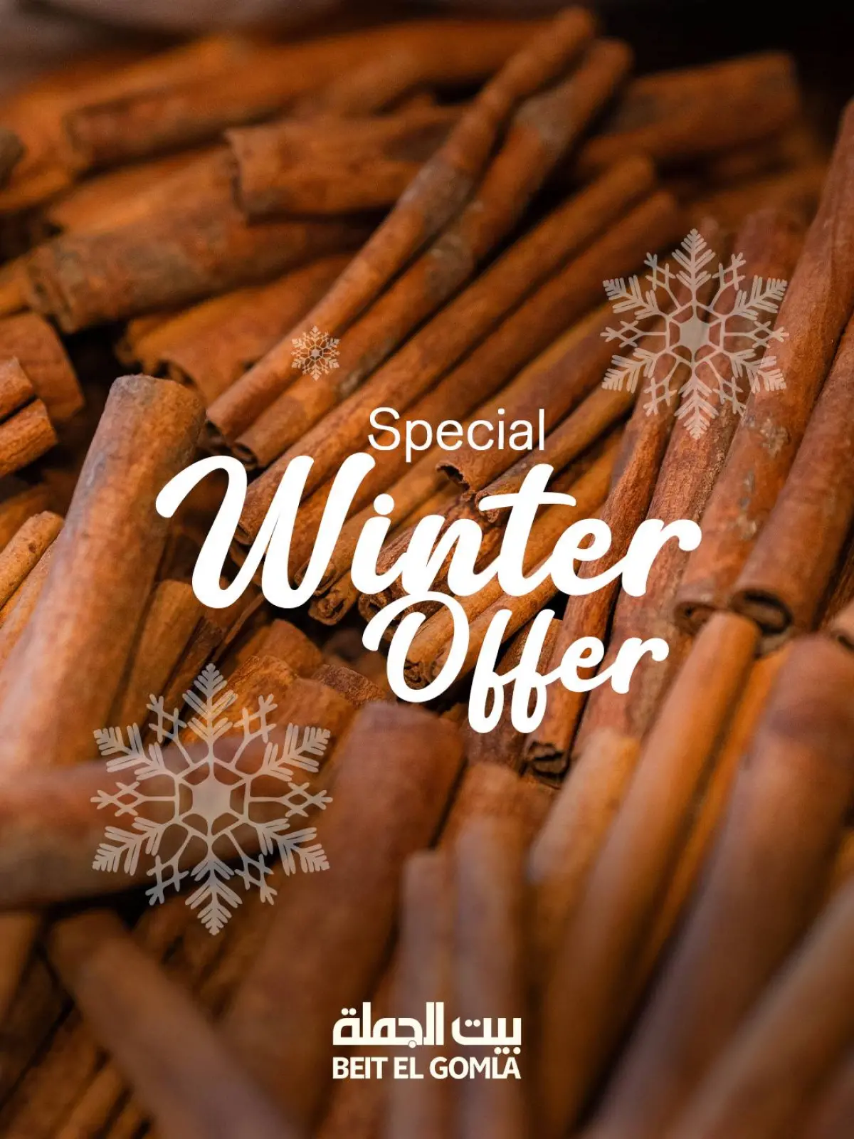 Página 1 en Ofertas de invierno en Casa Gomla Egipto