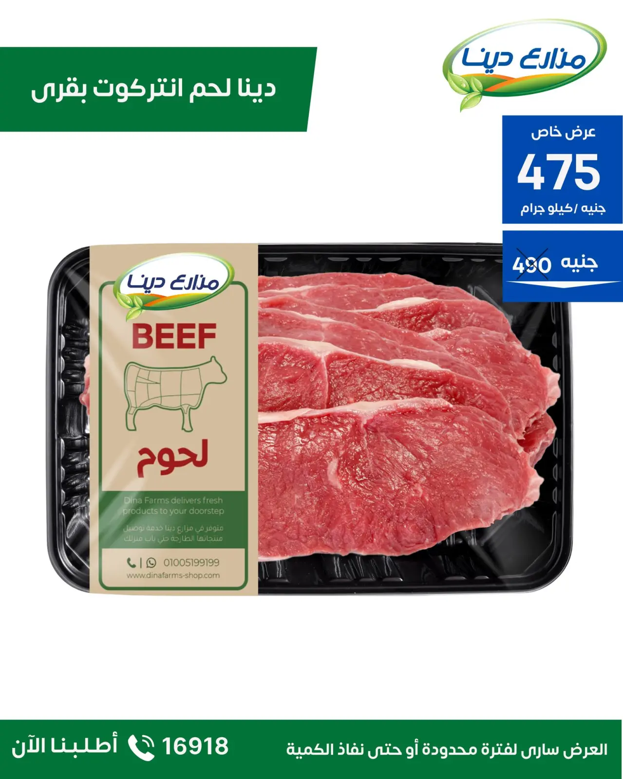 Page 2 in November Deals at Dina Farms Egypt