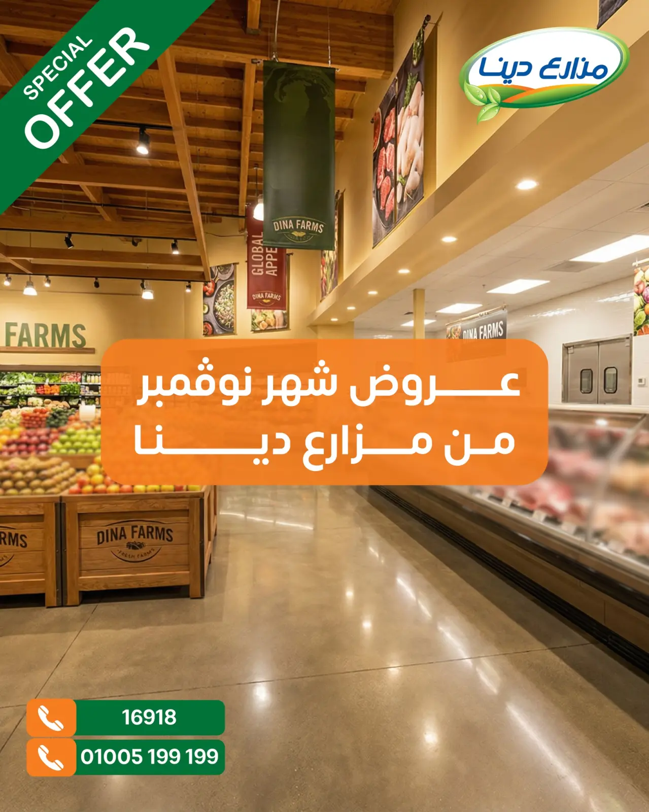 Page 1 in November Deals at Dina Farms Egypt