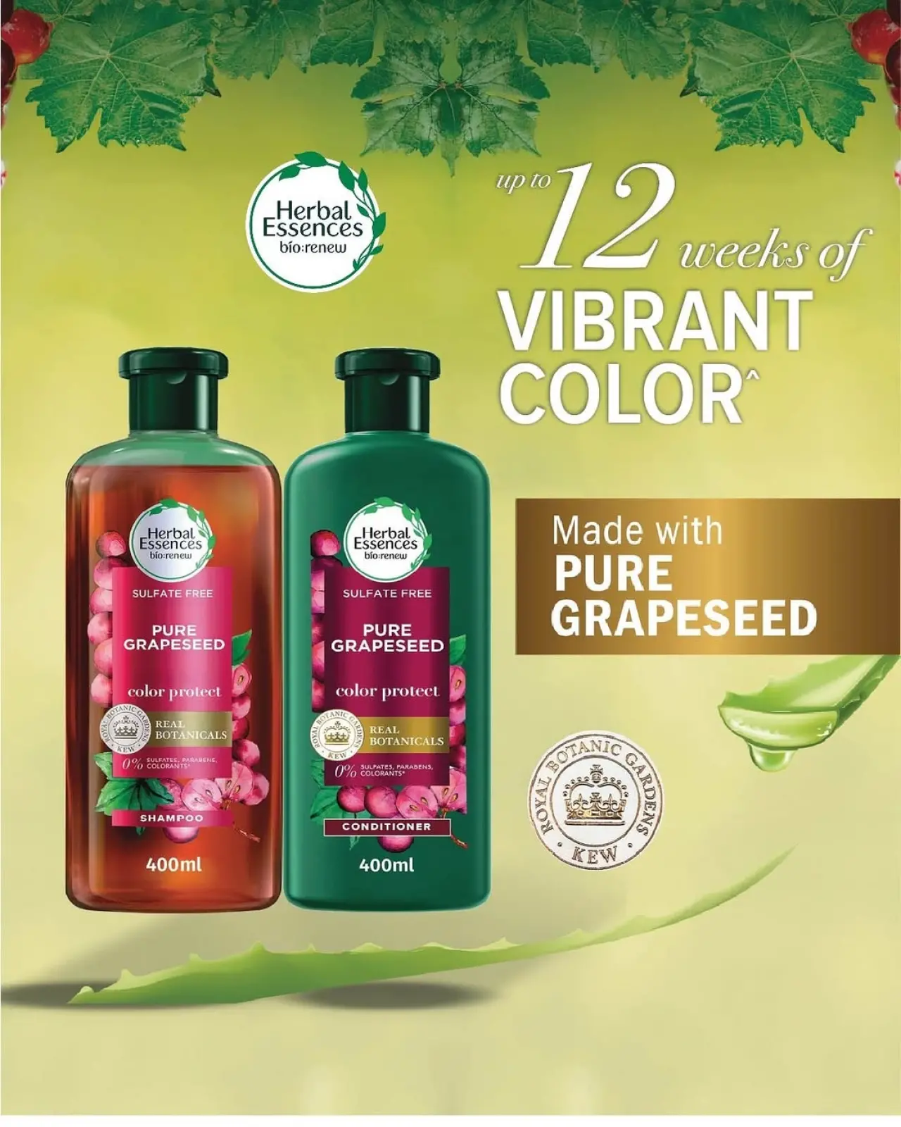 صفحة 58 ضمن مهرجان نوفمبر في جمعية السرة التعاونية الكويت