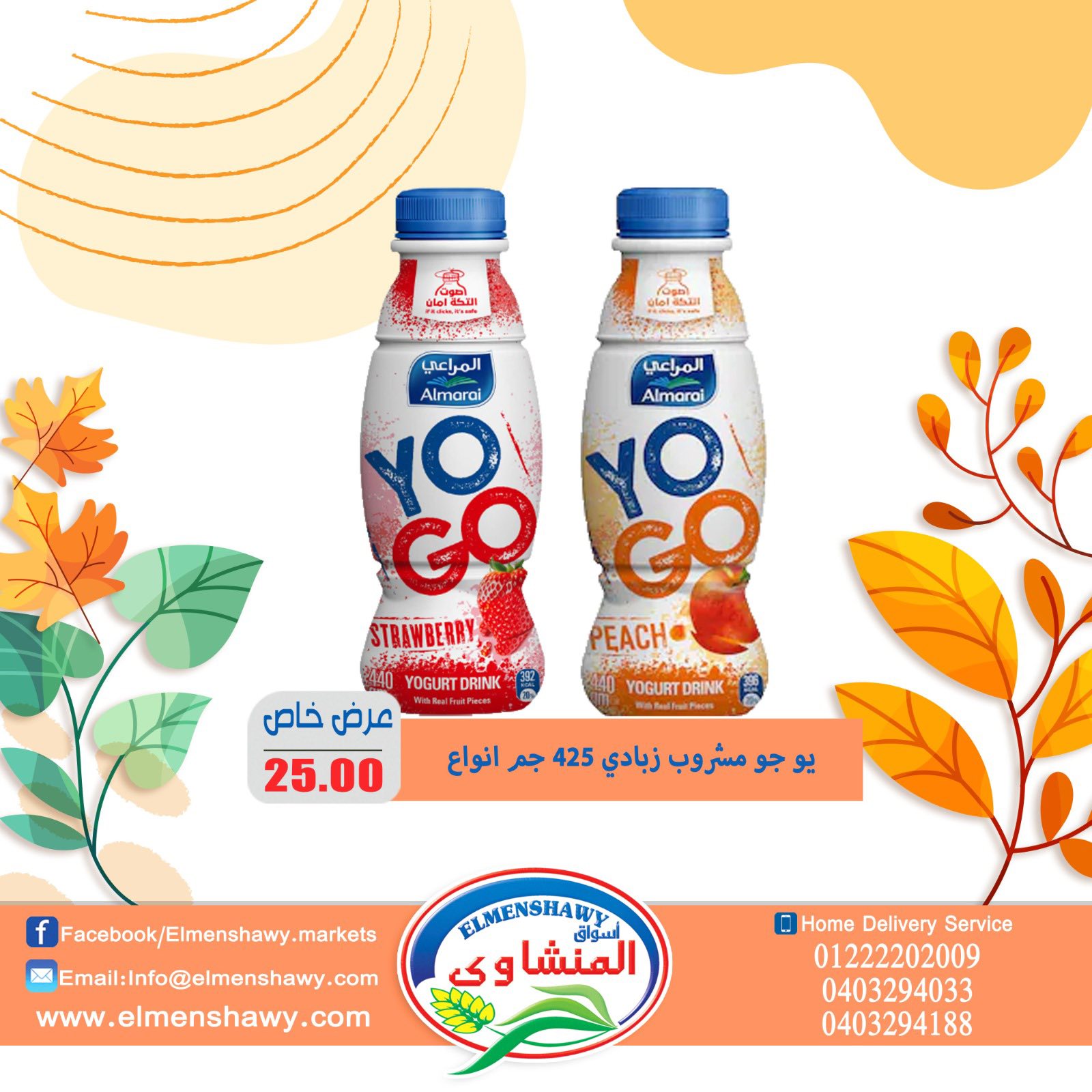 El Menshawy markets Egypt Offers from 25 November to 1 December 2025 Saving Deals