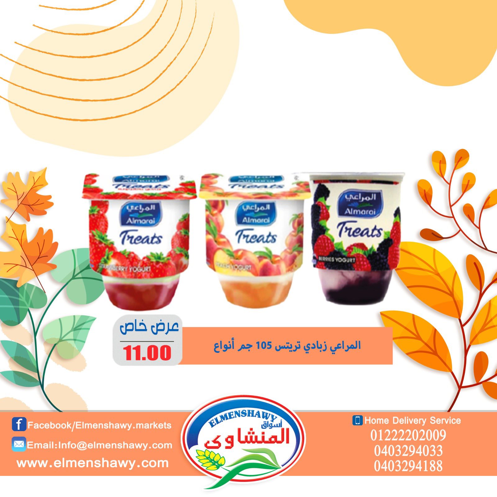 El Menshawy markets Egypt Offers from 25 November to 1 December 2025 Saving Deals