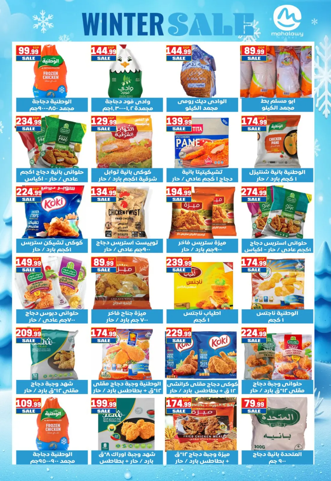 Página 15 en Ofertas de invierno en El mhallawy Sons Egipto