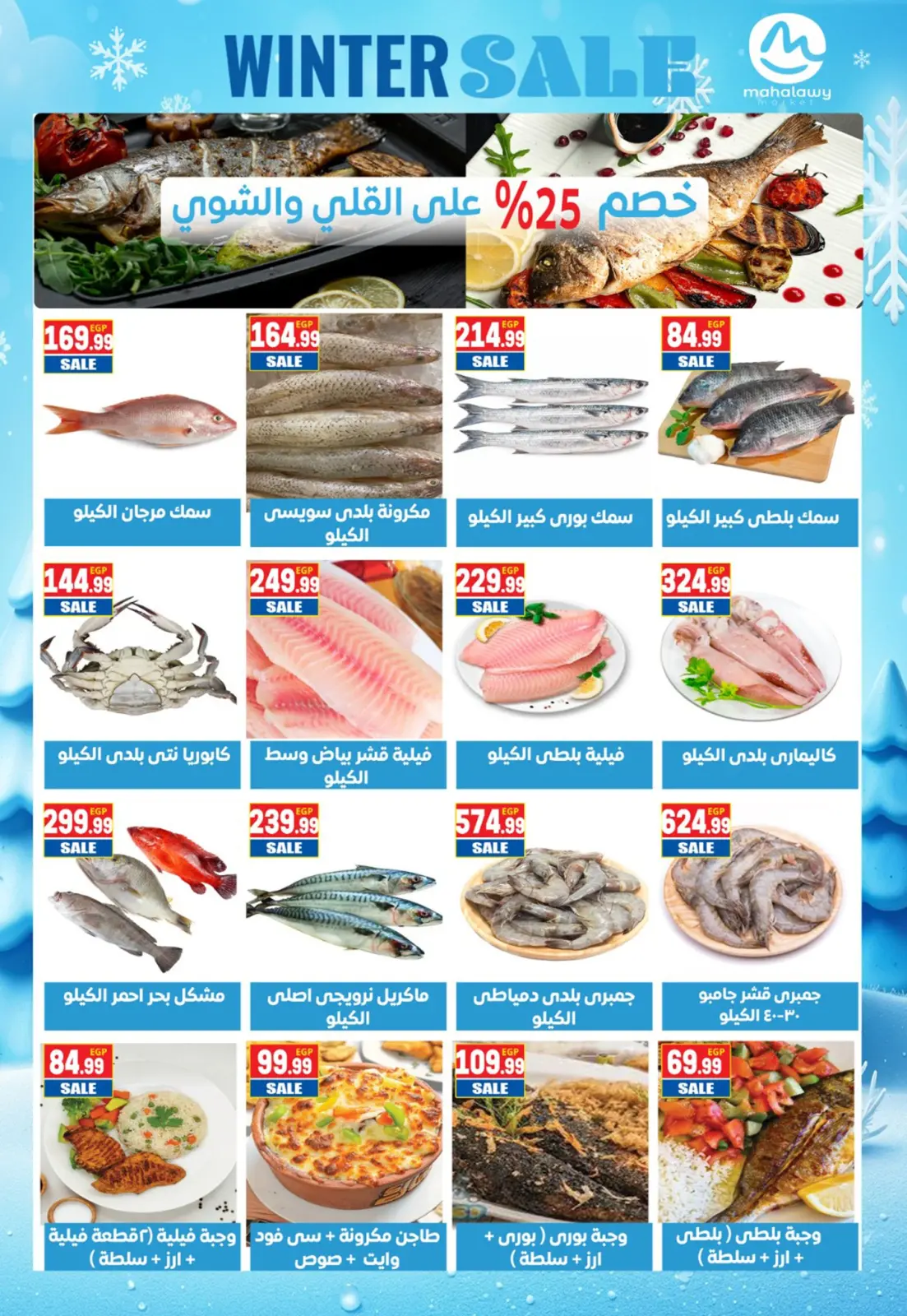 Página 3 en Ofertas de invierno en El mhallawy Sons Egipto