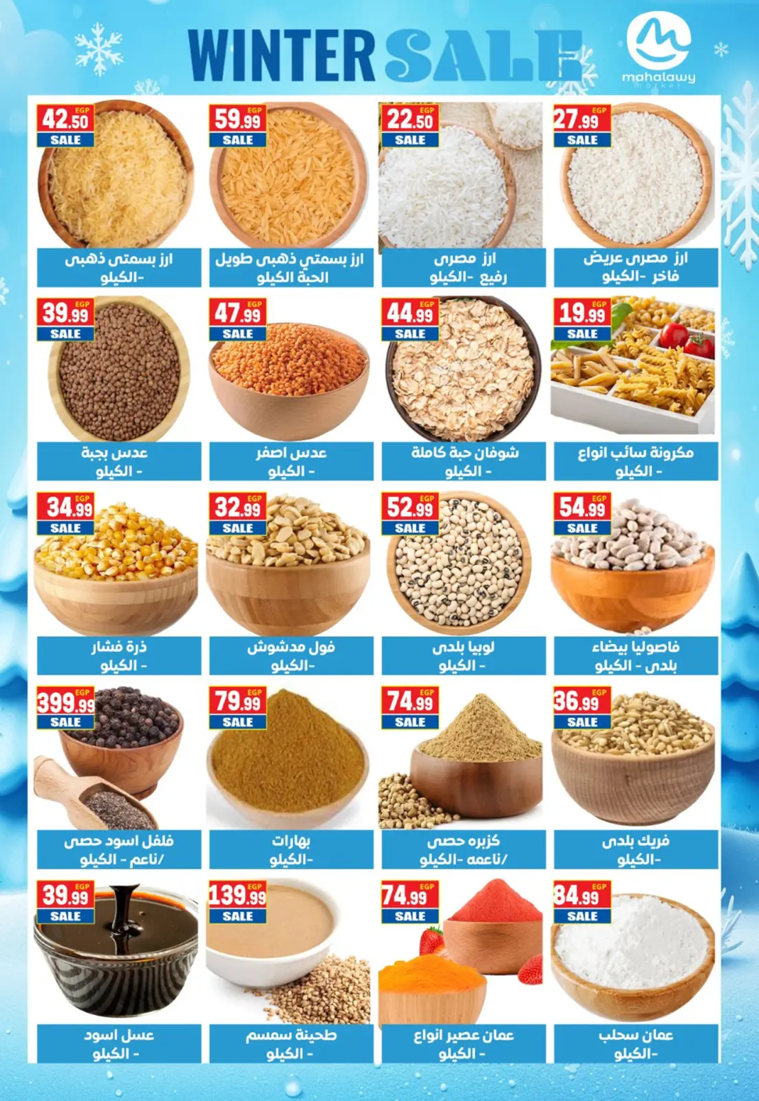 Página 7 en Ofertas de invierno en El mhallawy Sons Egipto