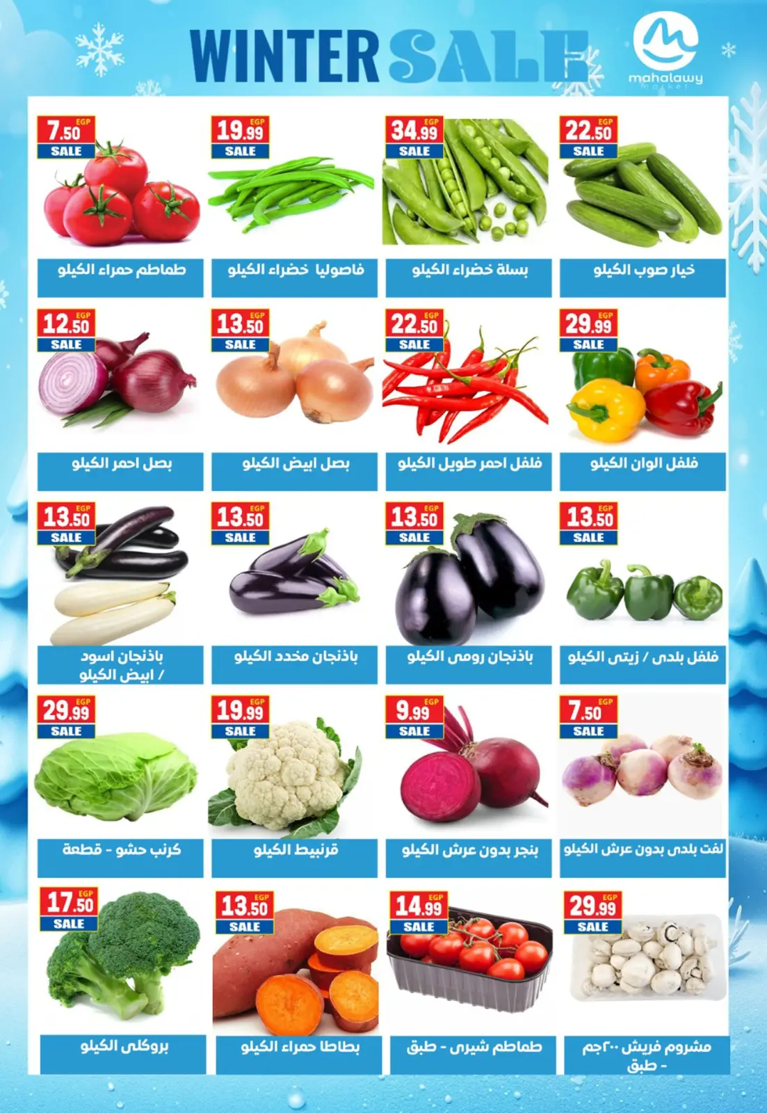 Página 4 en Ofertas de invierno en El mhallawy Sons Egipto