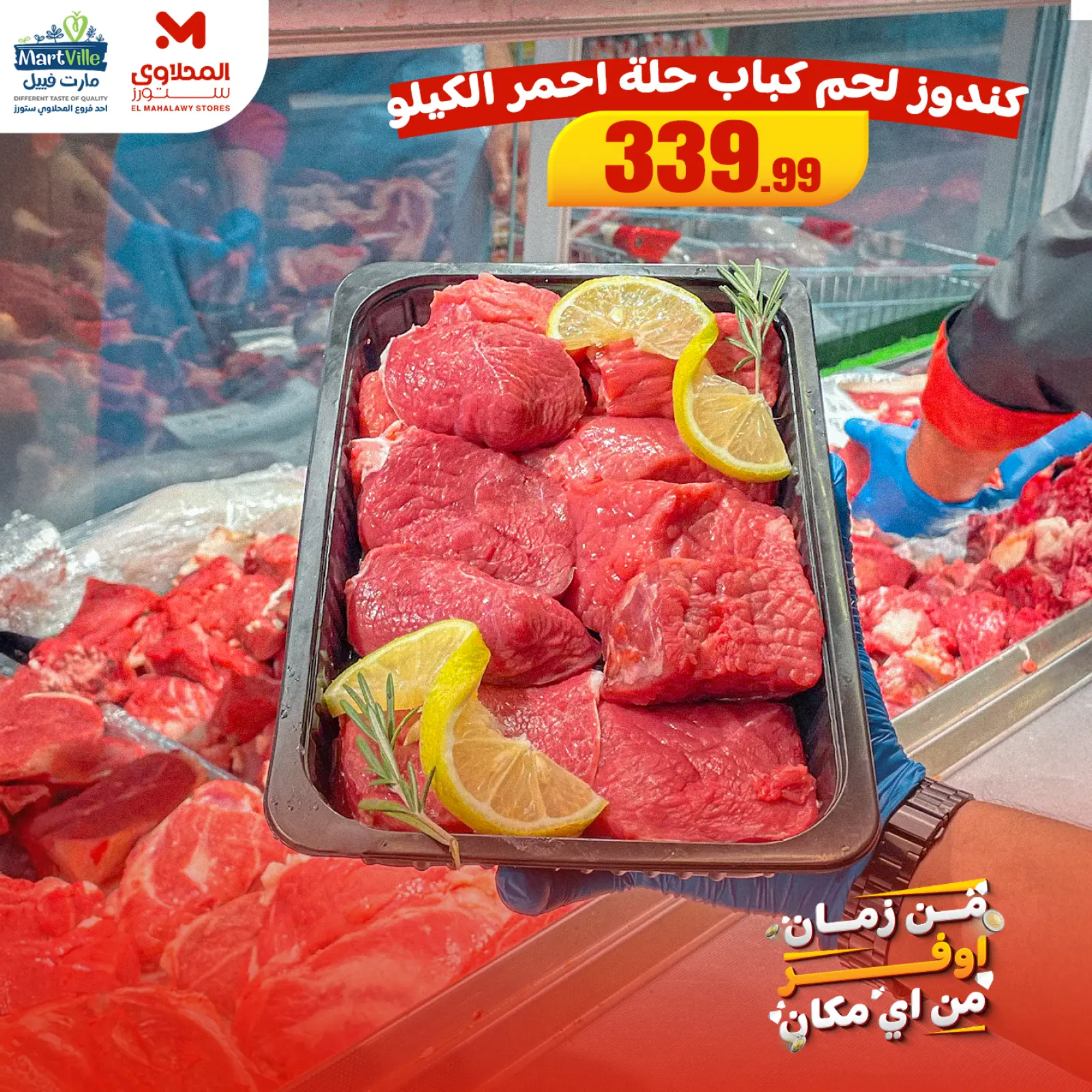 Página 3 en Ofertas de la Carne en Martville Egipto