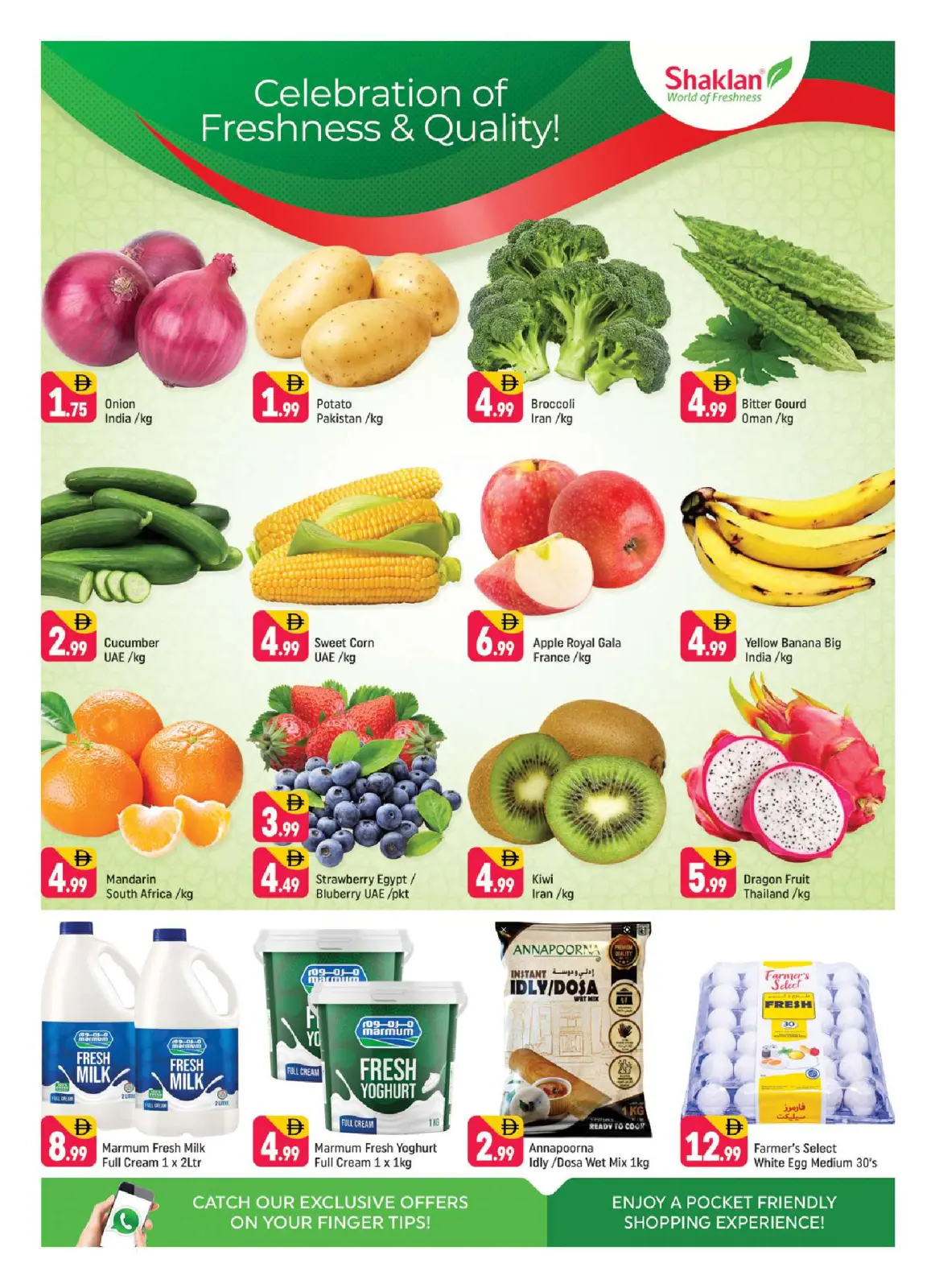 صفحة 2 ضمن عروض عيد الإتحاد في شكلان الإمارات